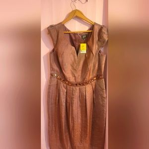 NWT Adrianna Papell Shimmer look  Dress 14W